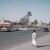 Baghdad 1958