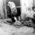 Tripoli 1952