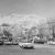 Damas 1972